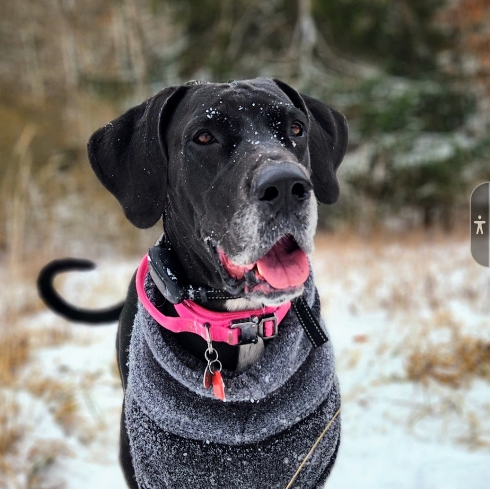 Meet your Posher, Beverly!